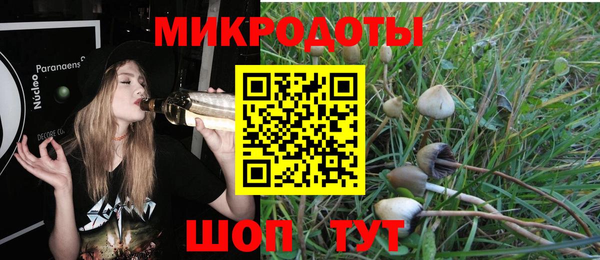 Тюмень  Псилоцибиновые грибы Psilocybe  Вход с VPN 